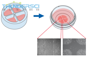 QQå?¾ç??20190318144952 å?¹å?»æ??ä»¶3å? 4å?.png